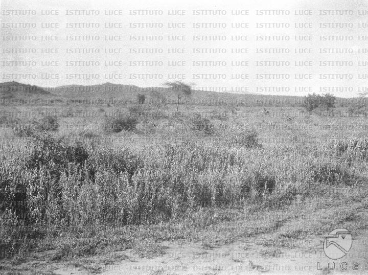 AO/AO125/AO00008384.JPG