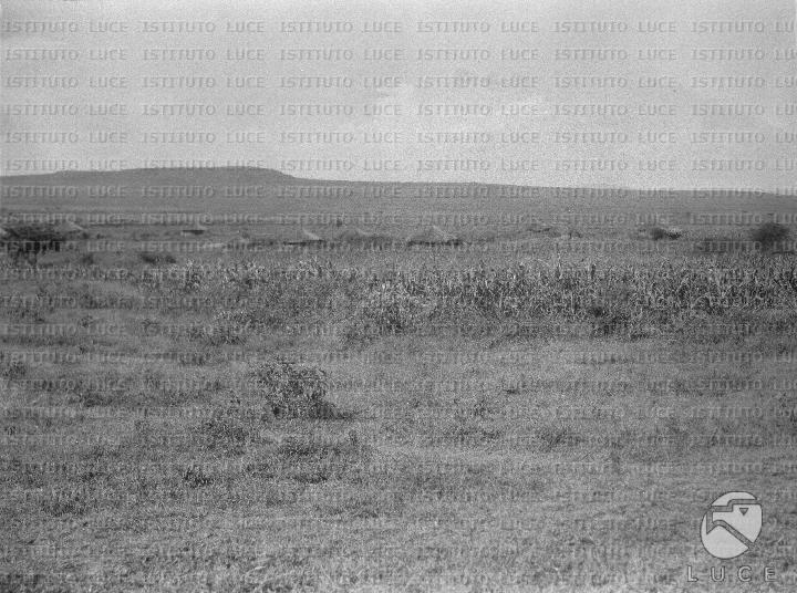 AO/AO125/AO00008387.JPG