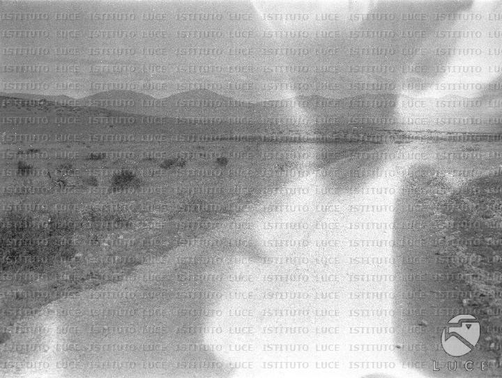 AO/AO125/AO00008394.JPG