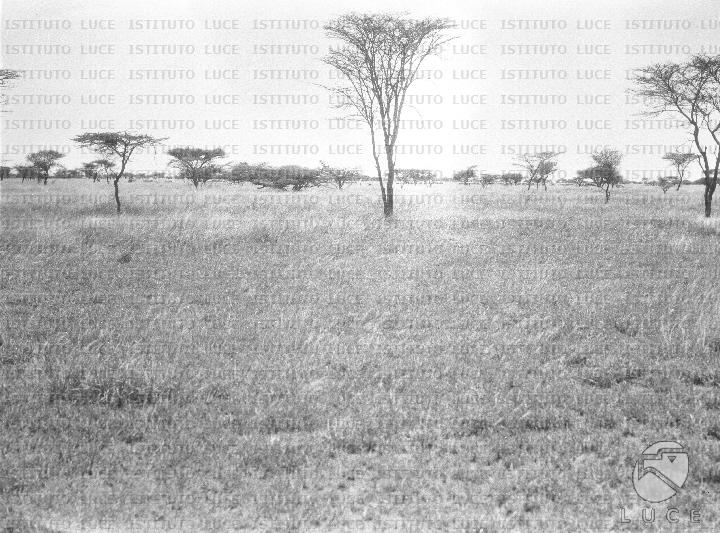 AO/AO125/AO00008395.JPG