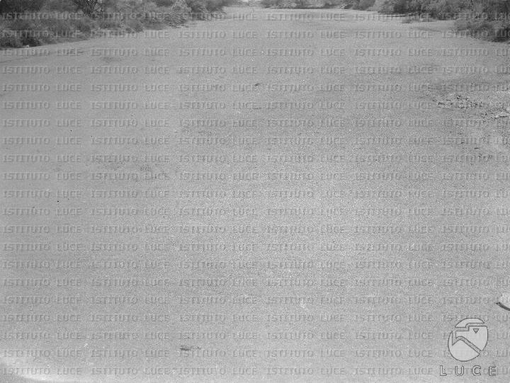 AO/AO125/AO00008400.JPG
