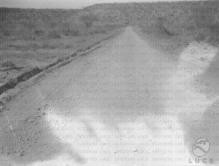 AO/AO125/AO00008404.JPG