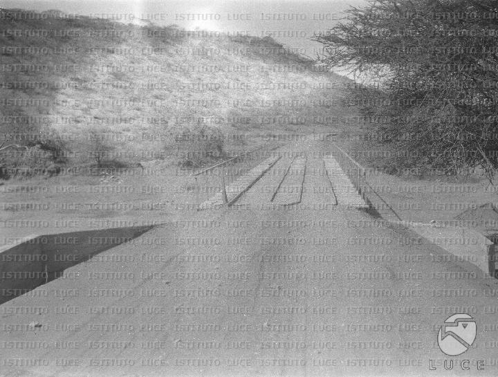AO/AO125/AO00008405.JPG