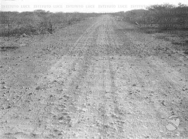 AO/AO125/AO00008425.JPG