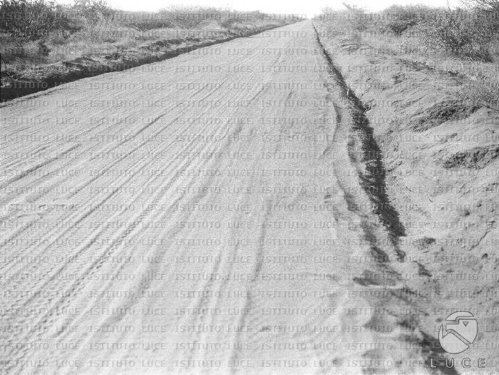 AO/AO125/AO00008431.JPG