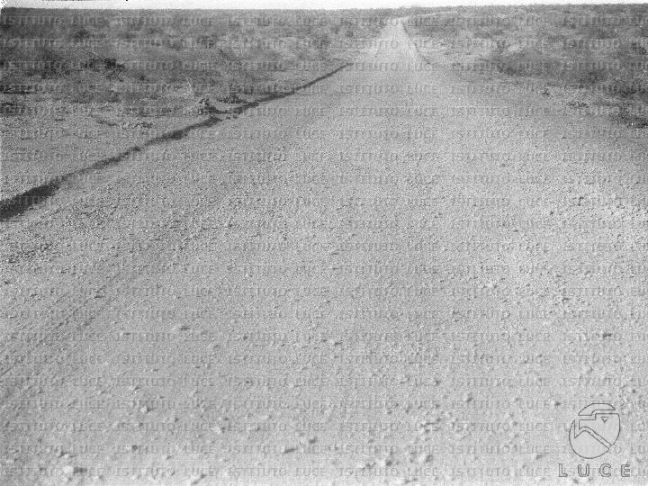 AO/AO125/AO00008434.JPG