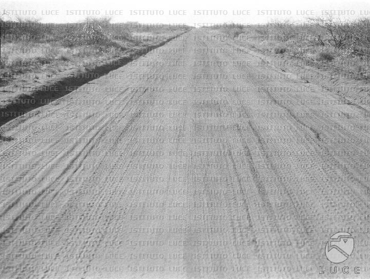 AO/AO125/AO00008436.JPG