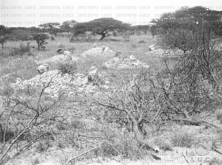 AO/AO125/AO00008439.JPG