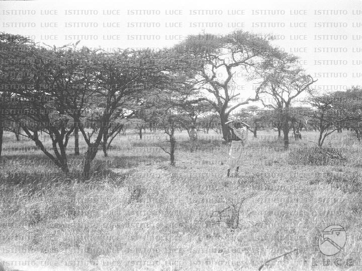 AO/AO125/AO00008441.JPG