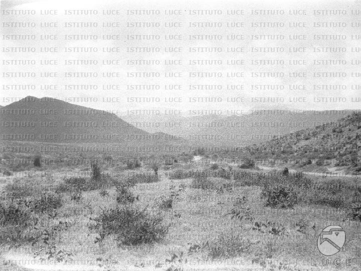 AO/AO126/AO00008446.JPG