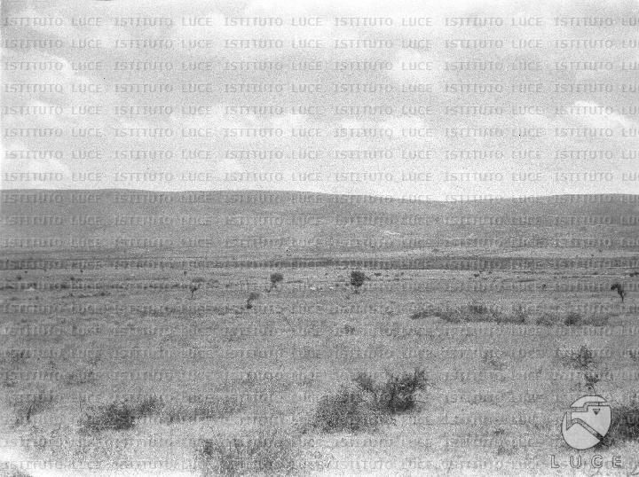 AO/AO126/AO00008448.JPG