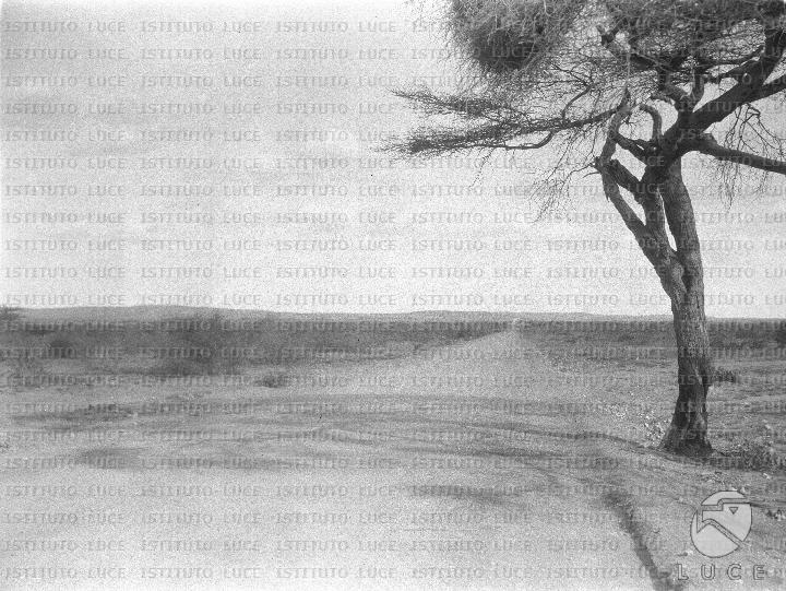 AO/AO126/AO00008463.JPG