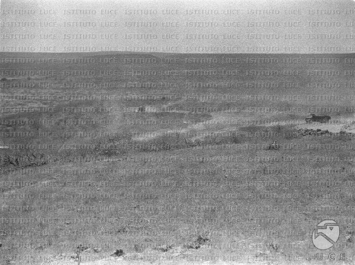 AO/AO126/AO00008476.JPG