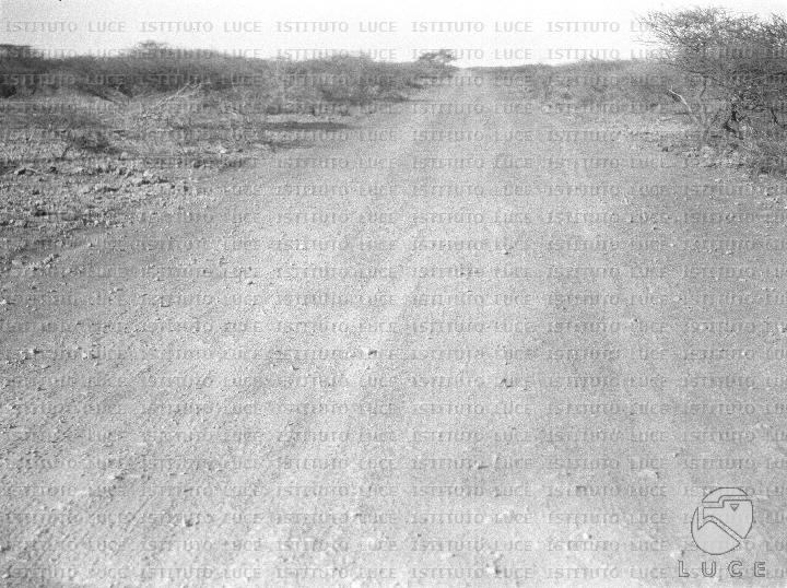 AO/AO126/AO00008482.JPG