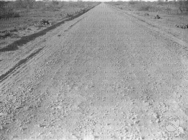 AO/AO126/AO00008483.JPG
