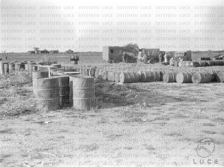 AO/AO126/AO00008486.JPG