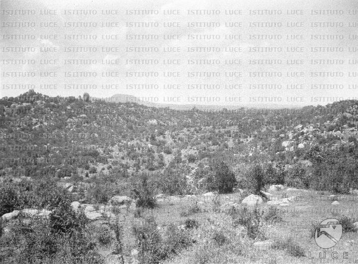 AO/AO126/AO00008491.JPG