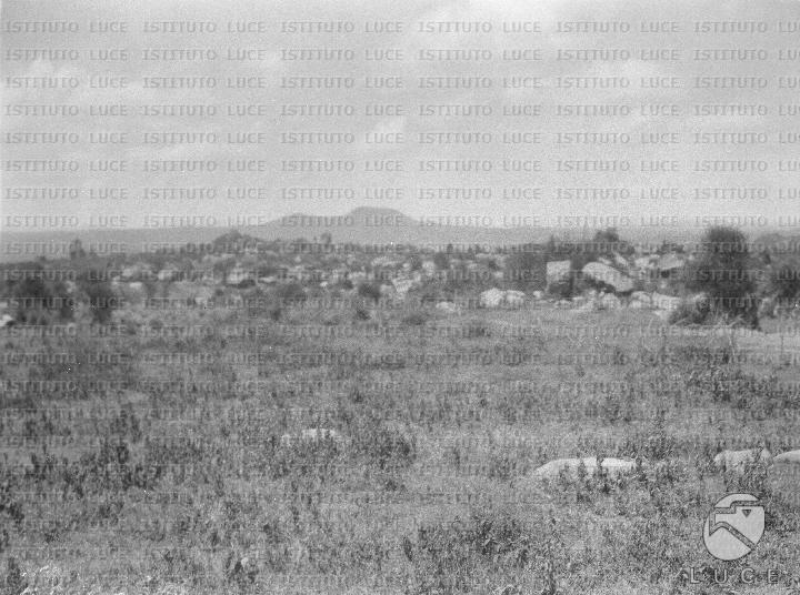 AO/AO126/AO00008492.JPG