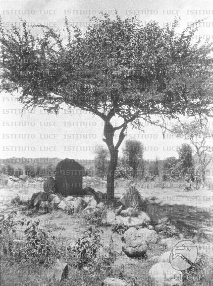 AO/AO126/AO00008494.JPG