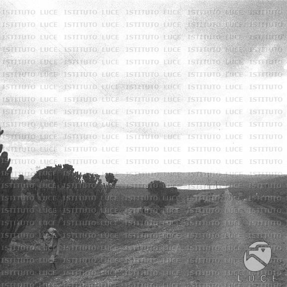 AO/AO130/AO00008831.JPG