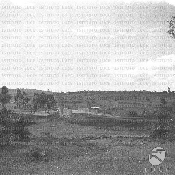 AO/AO130/AO00008833.JPG