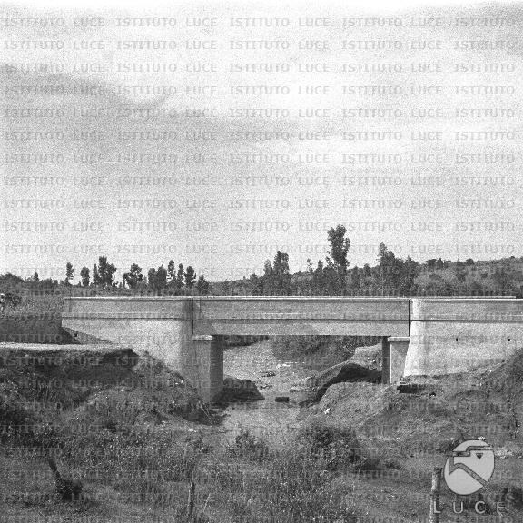 AO/AO130/AO00008835.JPG