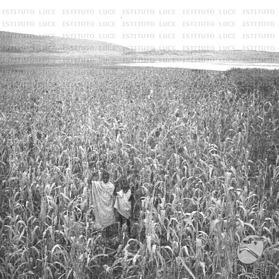 AO/AO130/AO00008839.JPG
