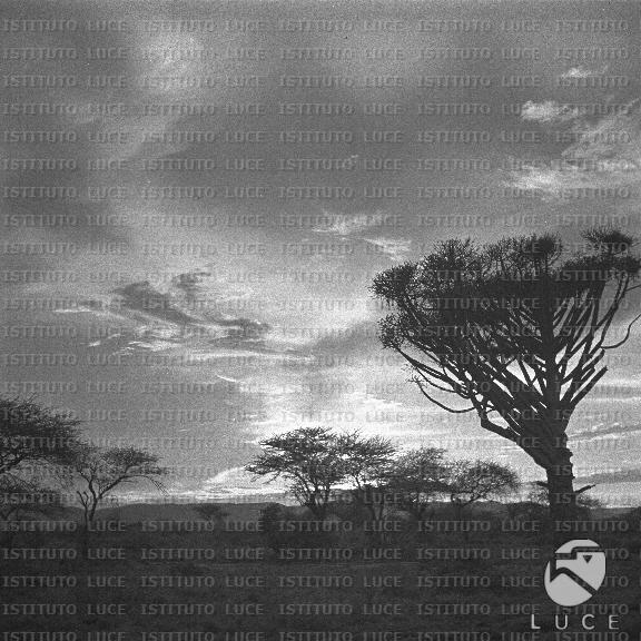 AO/AO131/AO00008859.JPG