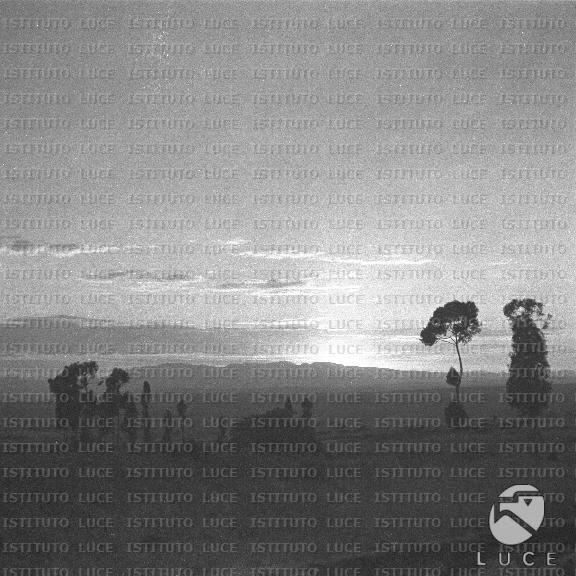 AO/AO131/AO00008861.JPG