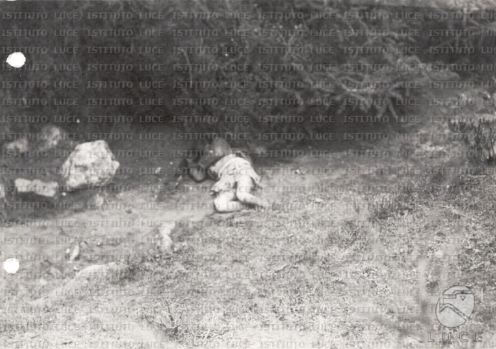 AO/AO153/AO01072F27.JPG