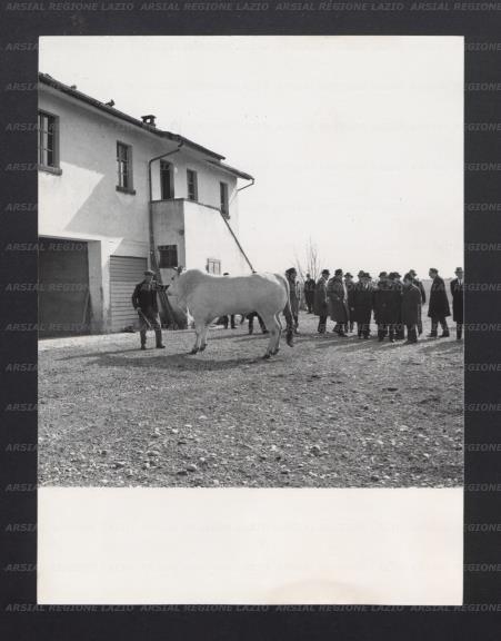 ARSIAL/ARS00172027.jpg