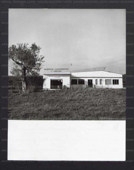 ARSIAL/ARS001722B2.jpg