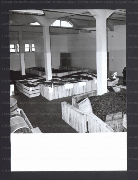ARSIAL/ARS001722C8.jpg