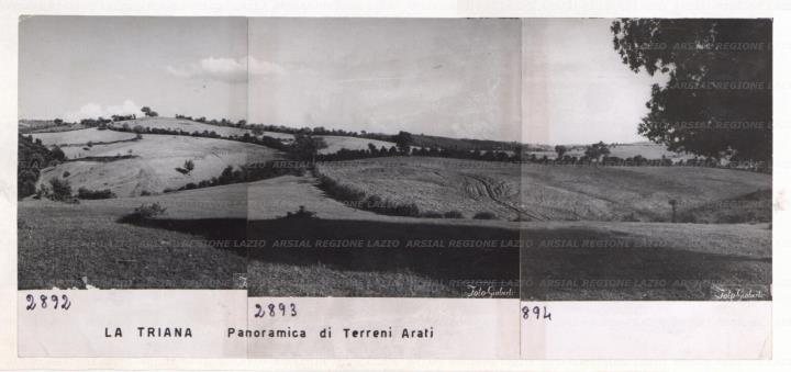 ARSIAL/ARS0017246F.jpg