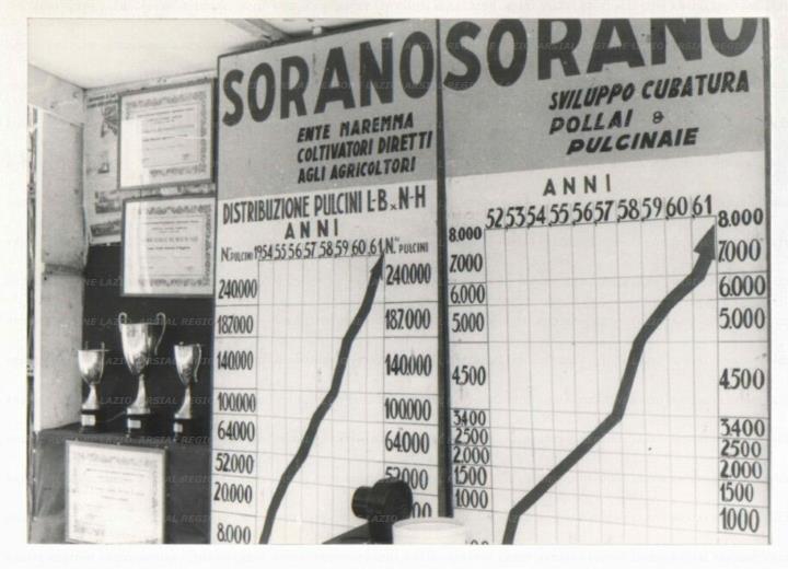 ARSIAL/ARS00172546.jpg