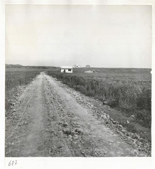 ARSIAL/ARS0017259F.jpg