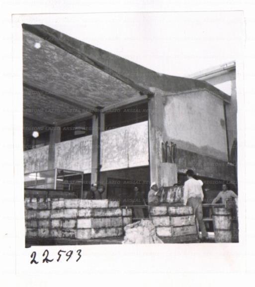 ARSIAL/ARS001726CA.jpg