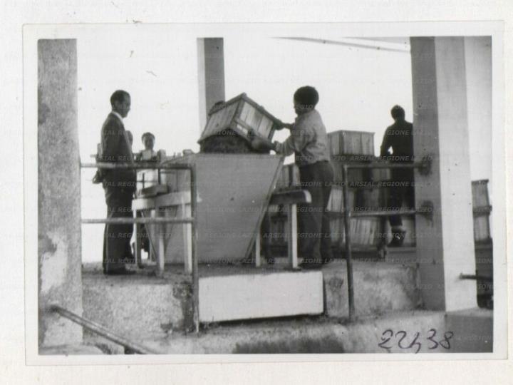 ARSIAL/ARS001726CF.jpg