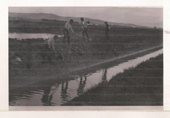 ARSIAL/ARS00172717.jpg