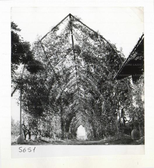 ARSIAL/ARS0017271B.jpg