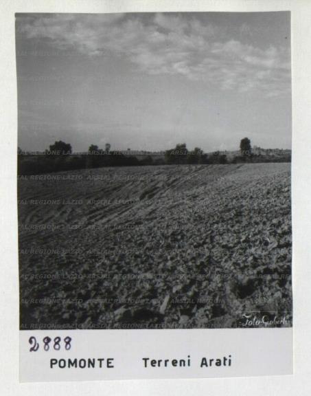 ARSIAL/ARS00172841.jpg
