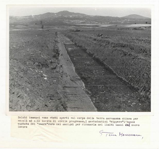 ARSIAL/ARS001728CE.jpg