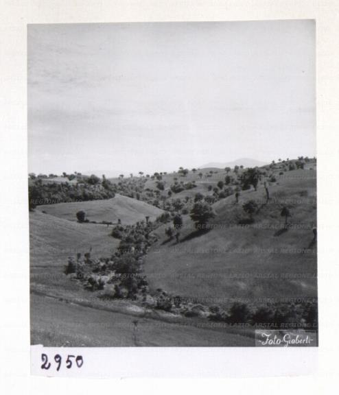 ARSIAL/ARS0017292B.jpg