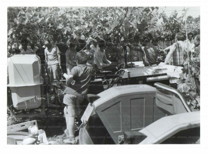 ARSIAL/ARS001729DD.jpg