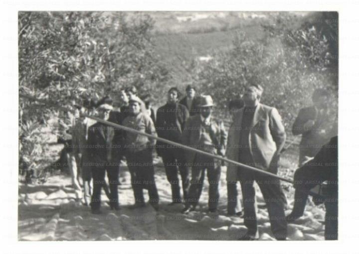 ARSIAL/ARS001729E4.jpg
