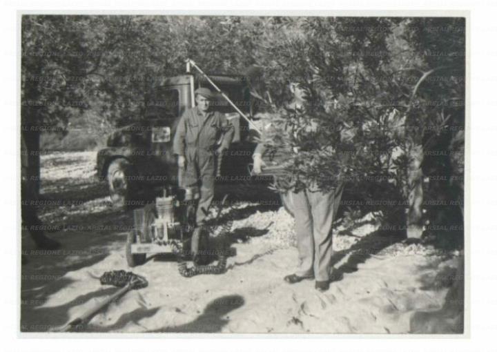 ARSIAL/ARS001729E7.jpg