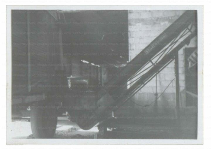 ARSIAL/ARS001729EF.jpg