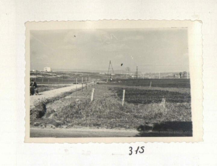 ARSIAL/ARS00172A46.jpg