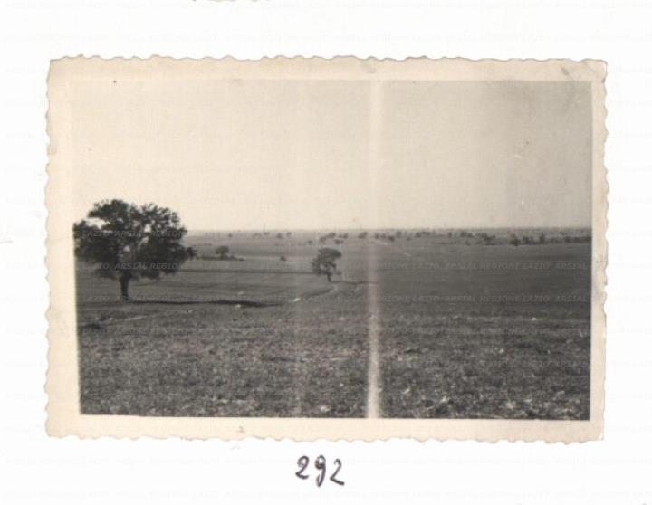 ARSIAL/ARS00172A47.jpg