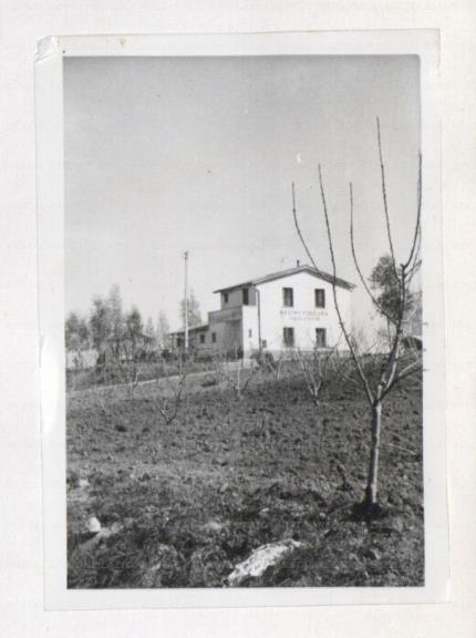ARSIAL/ARS00172A7A.jpg